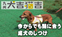 今からでも間に合う成犬のしつけ　おなやみ１「ムダ吠え」
									まだ遅くない、今からでも間に合う成犬のしつけ
おなやみ１「ムダ吠え」

ワンちゃんを飼う上で、必要になる「しつけ」。でも、子犬の時にちゃんとしつけをしないで、成犬になったという飼い主さんも多いのでは？「もうこの性格で成犬になったからこのままでいい」「もう年だから、覚えさせるのは無理・・・」と思ってるアナタ、それは間違い！成犬でもしつけ直すチャンスはまだあるのです！
ではどうやって？それは「九州　犬吉猫吉」2007年7月号の特集をご覧あれ！


取材協力：「<a href="http://www.andyshimada.com/" target="_Blank">アンディ島田訓練所</a>」



