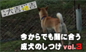 今からでも間に合う成犬のしつけ　おなやみ３「飛びつき」
									まだ遅くない、今からでも間に合う成犬のしつけ
おなやみ３「飛びつき」

ワンちゃんを飼う上で、必要になる「しつけ」。でも、子犬の時にちゃんとしつけをしないで、成犬になったという飼い主さんも多いのでは？「もうこの性格で成犬になったからこのままでいい」「もう年だから、覚えさせるのは無理・・・」と思ってるアナタ、それは間違い！成犬でもしつけ直すチャンスはまだあるのです！
ではどうやって？それは「九州　犬吉猫吉」2007年7月号の特集をご覧あれ！


取材協力：「<a href="http://www.andyshimada.com/" target="_Blank">アンディ島田訓練所</a>」



